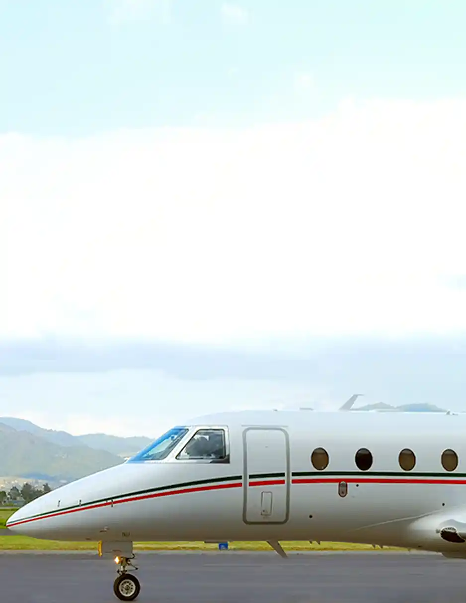 Airport concierge service